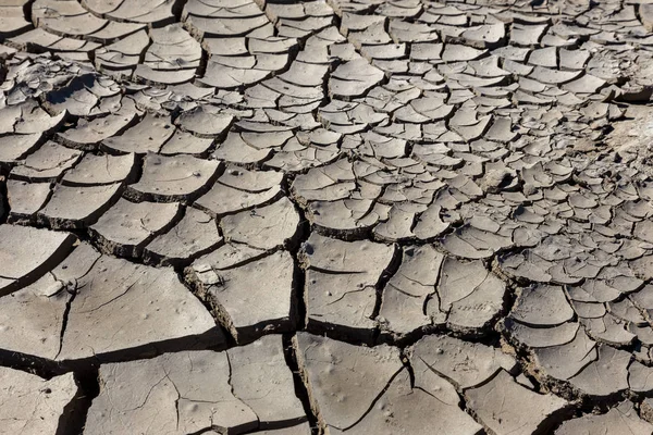 Kuraklık. Kurutulmuş Göl Nehir deniz dibinde. Ölü yengeçler kuraklık kuru. Kuraklığın kırık toprak kuru. Kuraklık, iklim değişikliği, nem olmadan ölüm kavramı. Ekoloji. Felaket. Kırık mistisizm