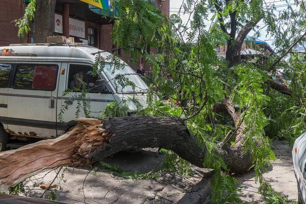 Odessa Ukrajna Július 2018 Nehéz Eső Vihar Szél Okozta Baleset — Stock Fotó