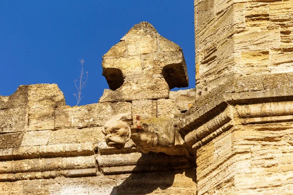 18. yüzyıl eski Barok binanın heykel tasarım detay. Oyma süslemeler, kısma, bayrak ve hanedanlık armaları, süsleme bina cephesinde. Cephe heykel