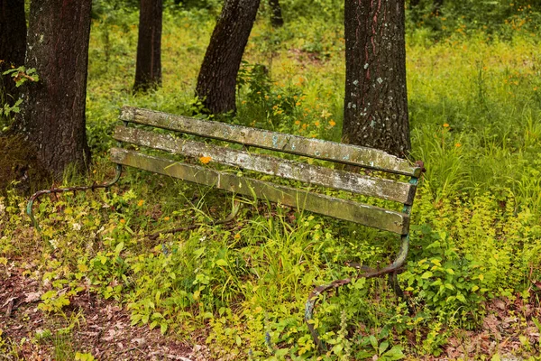 Old Ruined Wooden Bench Abandoned City Park Empty Old Wooden — Stock Photo, Image