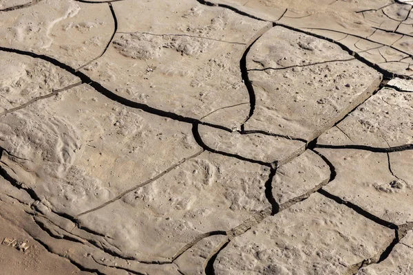 Kuraklık. Kurutulmuş Göl Nehir deniz dibinde. Ölü yengeçler kuraklık kuru. Kuraklığın kırık toprak kuru. Kuraklık, iklim değişikliği, nem olmadan ölüm kavramı. Ekoloji. Felaket. Kırık mistisizm
