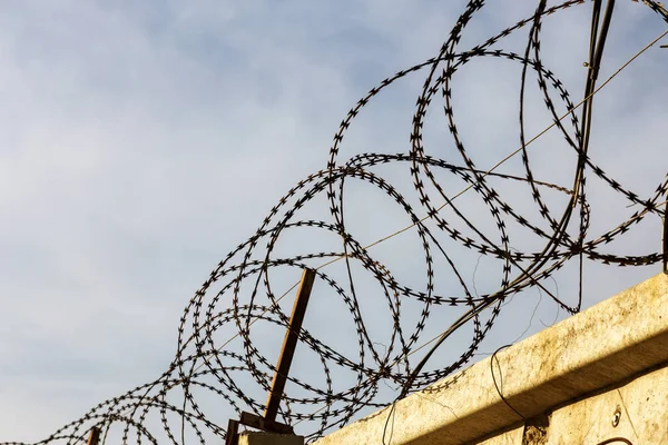 Barbed wire on fence of a private area. Protective fencing of specially protected object of barbed wire. Stamped barbed wire. A sign of private property, metal barbed wire hanging on concrete fence