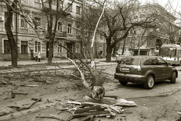 Odessa Ukraine März 2018 Heftiger Regen Und Sturmböen Verursachten Einen — Stockfoto
