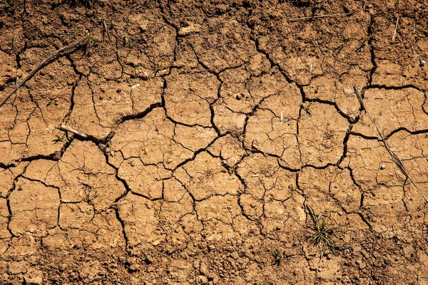 湖河海底干燥 死螃蟹因干旱而干涸 干旱干旱的干旱破碎土壤 气候变化 无水分等概念 神秘主义裂痕 — 图库照片