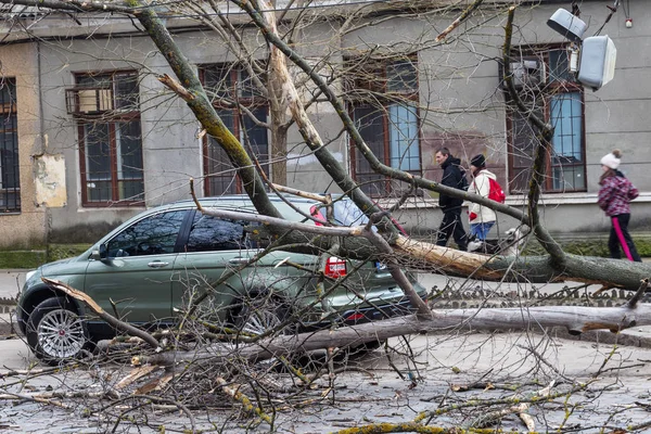 Odessa Ukrajna Március 2018 Nehéz Eső Vihar Szél Okozta Baleset — Stock Fotó