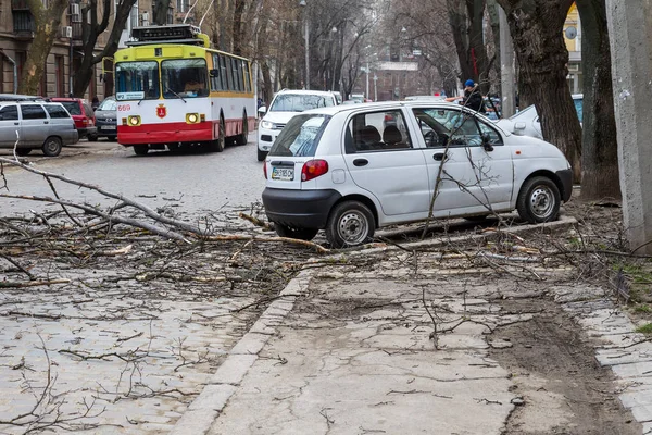 オデッサ ウクライナ 2018 事故を起こした強風雨と嵐 古い木が嵐の中車に落ちた ハリケーンの結果 木のマシンに落ち それらを損傷しました — ストック写真