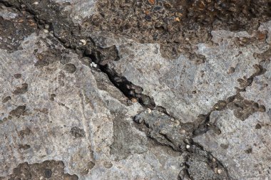  Arka plan yüzeyi ile yaratıcı çatlaklar. Yaratıcı tasarım düzen için arka plan olarak Web çatlaklar. Çimento tabakasının taş yüzeyi derin çatlaklar oluşan bir ağ ile. Endişeli görünüm