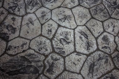 güzel arka plan kaldırım döşeme üzerinde yaya yolu hazır. Çok renkli camlı kaldırım döşeme monoton deseni. Kaldırım döşeme ile küçük kusurlar ve perspektif içinde gelme dışarı çatlamak ile fotoğraf sitesi