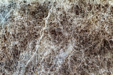 Güzel eski sarı-kahverengi dekoratif taş mermer soyut çatlaklar ve doğal arka yüzeyindeki lekeleri