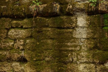 Arka plan tasarımı için. Taş duvar. Doğal taş eski taş tasarım projesi için arka plan arka plan olarak arka plan. Doğal kabuklu deniz ürünleri, bir yeraltı ocağı taştan taş duvardan sanatsal arka plan