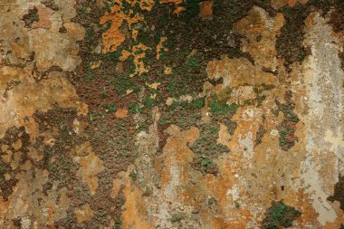 eski sanat dokusuna sıva tuğla duvar. Petal doku ile taş tuğla duvar boyalı sıva çatlaklar boyalı kötü tırmalamak yüzey. Binanın hasarlı sıva arka plan ile ovuşturdu cephe