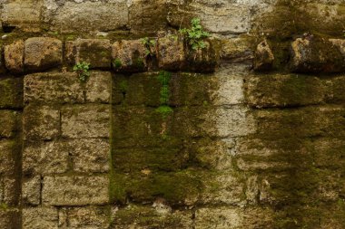 Arka plan tasarımı için. Taş duvar. Doğal taş eski taş tasarım projesi için arka plan arka plan olarak arka plan. Doğal kabuklu deniz ürünleri, bir yeraltı ocağı taştan taş duvardan sanatsal arka plan
