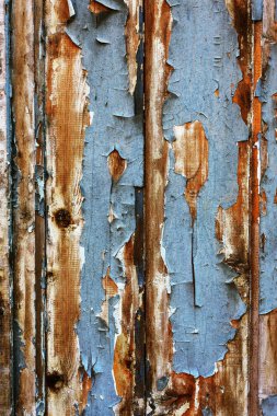 Arka plan doku duvar eski boya peeling ile. Eski ahşap arka plan ağaç eski boya artıkları parçaları kalıntıları ile. Doku eski ağaç bir kurulu ile boya, antika arka plan soyulması boya