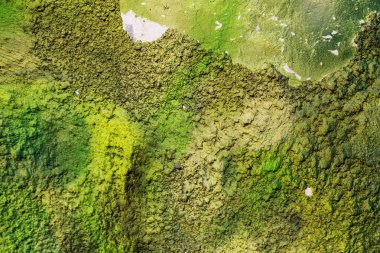 Eski renkli tuğla duvar, eski boya ve doku izleriyle sıvanmış. Olağanüstü yaratıcı tasarım için eskimiş bir arka plan olarak