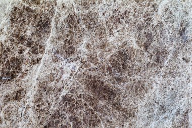 Güzel eski sarı-kahverengi dekoratif taş mermer soyut çatlaklar ve doğal arka yüzeyindeki lekeleri