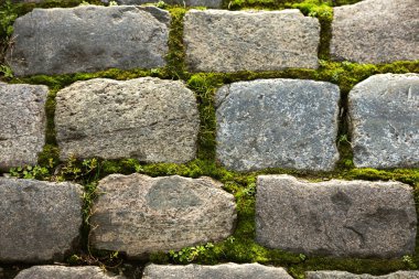 Çukurlar, kışın donma-çözülme çevrimleri neden olan bozuk asfalt yol. Kötü yol. Kaldırımlar kaldırımlar kaldırımda kırık. kaldırım döşeme ile kusurları ile tabaka ve perspektif içinde gelen çatlaklar