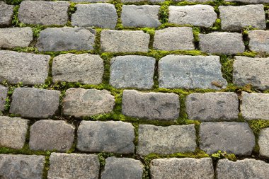 Çukurlar, kışın donma-çözülme çevrimleri neden olan bozuk asfalt yol. Kötü yol. Kaldırımlar kaldırımlar kaldırımda kırık. kaldırım döşeme ile kusurları ile tabaka ve perspektif içinde gelen çatlaklar