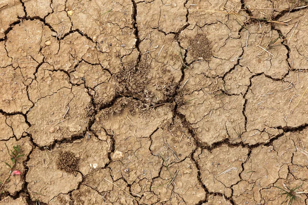 Bad Land Dry Cracked Background Cracks Soil Cracks Reduced Texture — Stock Photo, Image