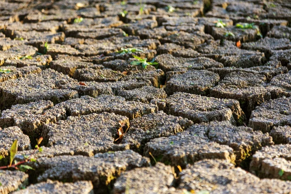 Terreni Cattivi Sfondo Fessurato Secco Cracks Suolo Incrinato Texture Ridotta — Foto Stock