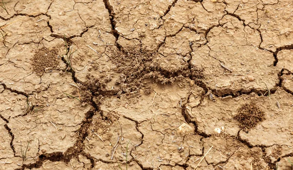 Mala Tierra Fondo Seco Agrietado Grietas Suelo Está Grietas Textura —  Fotos de Stock