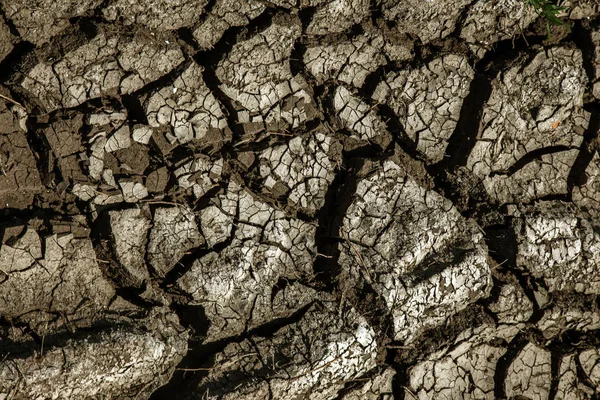 Sequía Fondo Seco Del Lago Del Mar Del Río Cangrejos —  Fotos de Stock