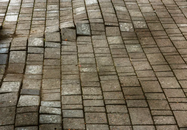 Strada Asfaltata Danneggiata Con Buche Causata Cicli Congelamento Disgelo Inverno — Foto Stock