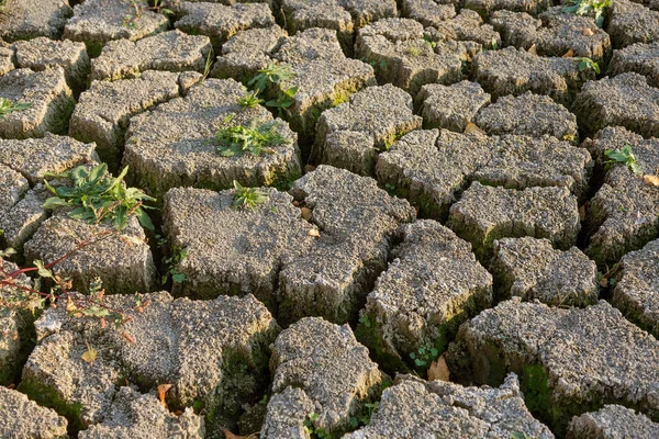 Terreni Cattivi Sfondo Fessurato Secco Cracks Suolo Incrinato Texture Ridotta — Foto Stock