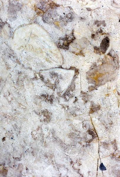 Brillante Mármol Natural Hermosas Grietas Manchas Abstractas Mármol Piedra Decorativa — Foto de Stock