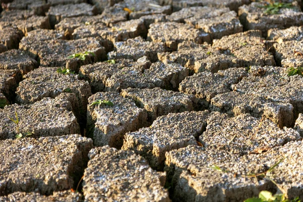 Terreni Cattivi Sfondo Fessurato Secco Cracks Suolo Incrinato Texture Ridotta — Foto Stock