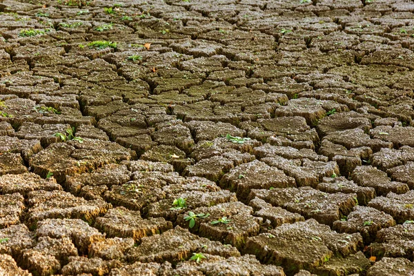 Terreni Cattivi Sfondo Fessurato Secco Cracks Suolo Incrinato Texture Ridotta — Foto Stock