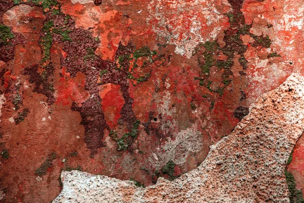 Eski Sanat Dokusuna Sıva Tuğla Duvar Petal Doku Ile Taş — Stok fotoğraf