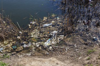 Kirli kanalizasyon ve küçük nehir ev çöpleri, sulama kanalı alg hızlı büyüme neden olur. Su kirliliği. Ekolojik sorun. Sorun plastik. Su kullanımı tehlikelidir, bu yasaktır