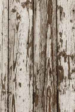 Eski vintage tarzı Beyaz ahşap doku kalıntıları beyaz boya ile boyanmış. Çok yaşlı, grunge, rustik ahşap doku doğal desenler ve çatlaklar ahşap arka plan olarak yüzeyi ile