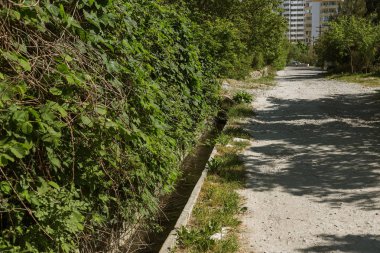 Kirli su, kanalizasyon atık borusu yoluyla donatısız bir plajda denize boşalttı. Kirliliği çevre, ekolojik felaket. Çevre kirliliğinin çevre sorunu