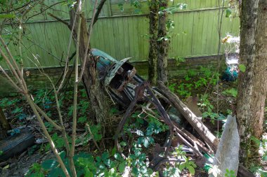 Radyoaktif ölü bölge Chernobyl evde kalıntıları. Yok edilen terk edilmiş evde büyür ve orman içinde ölür. Çernobil'de ev mistik kalıntıları. Orman, ağaçlar absorbe, evleri yok. Seçici odak