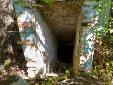 Radyoaktif ölü bölge Chernobyl evde kalıntıları. Yok edilen terk edilmiş evde büyür ve orman içinde ölür. Çernobil'de ev mistik kalıntıları. Orman, ağaçlar absorbe, evleri yok. Seçici odak