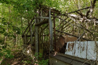 Radyoaktif ölü bölge Chernobyl evde kalıntıları. Yok edilen terk edilmiş evde büyür ve orman içinde ölür. Çernobil'de ev mistik kalıntıları. Orman, ağaçlar absorbe, evleri yok. Seçici odak