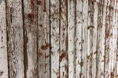 Eski vintage tarzı Beyaz ahşap doku kalıntıları beyaz boya ile boyanmış. Çok yaşlı, grunge, rustik ahşap doku doğal desenler ve çatlaklar ahşap arka plan olarak yüzeyi ile