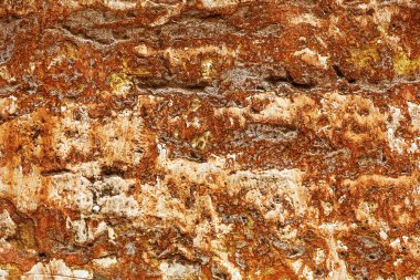 Alçı tuğla duvarın boş eski sanat dokusu. Yaprak dokusuyla boyanmış taş tuğla duvarın çatlaklarıyla kötü çizilmiş yüzey. Hasarlı alçıyla binanın ön cephesini ovaladım.