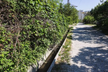 Kirli su, kanalizasyon atık borusu yoluyla donatısız bir plajda denize boşalttı. Kirliliği çevre, ekolojik felaket. Çevre kirliliğinin çevre sorunu