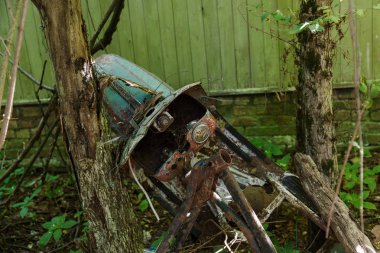 Radyoaktif ölü bölge Chernobyl evde kalıntıları. Yok edilen terk edilmiş evde büyür ve orman içinde ölür. Çernobil'de ev mistik kalıntıları. Orman, ağaçlar absorbe, evleri yok. Seçici odak