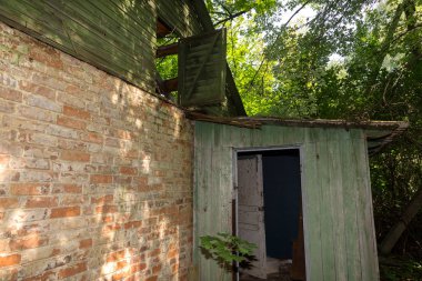 Radyoaktif ölü bölge Chernobyl evde kalıntıları. Yok edilen terk edilmiş evde büyür ve orman içinde ölür. Çernobil'de ev mistik kalıntıları. Orman, ağaçlar absorbe, evleri yok. Seçici odak