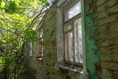 Radyoaktif ölü bölge Chernobyl evde kalıntıları. Yok edilen terk edilmiş evde büyür ve orman içinde ölür. Çernobil'de ev mistik kalıntıları. Orman, ağaçlar absorbe, evleri yok. Seçici odak