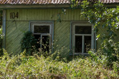 Radyoaktif ölü bölge Chernobyl evde kalıntıları. Yok edilen terk edilmiş evde büyür ve orman içinde ölür. Çernobil'de ev mistik kalıntıları. Orman, ağaçlar absorbe, evleri yok. Seçici odak