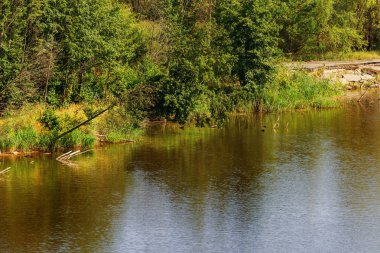 Chernobyl nükleer güç bitki bölge düz Pripyat nehir pastoral manzara. Pripyat nehir lahit üzerinde ayrılmış bir atom reaktörü alanında. Sakin düz manzara. Pripyat Nehri