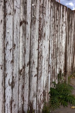 Eski vintage tarzı Beyaz ahşap doku kalıntıları beyaz boya ile boyanmış. Çok yaşlı, grunge, rustik ahşap doku doğal desenler ve çatlaklar ahşap arka plan olarak yüzeyi ile