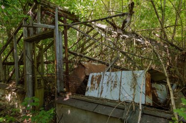 Radyoaktif ölü bölge Chernobyl evde kalıntıları. Yok edilen terk edilmiş evde büyür ve orman içinde ölür. Çernobil'de ev mistik kalıntıları. Orman, ağaçlar absorbe, evleri yok. Seçici odak