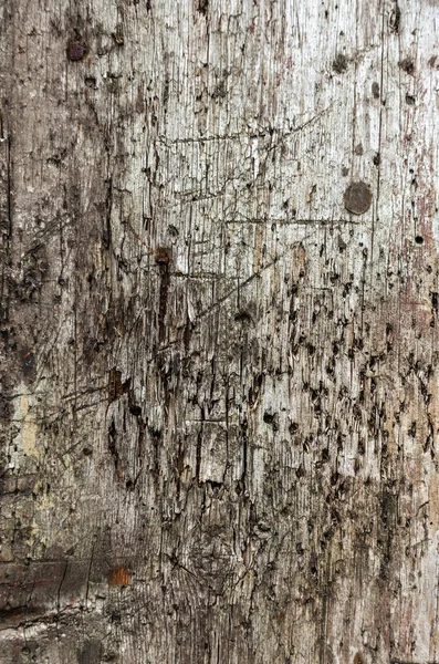 Old Dark Wood Texture Natural Pattern Wooden Planks Great Creative — Stock Photo, Image