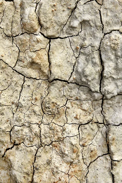 Detailed Texture Cracked Earth — Stock Photo, Image