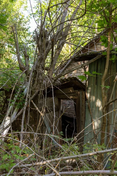 Hausruinen Der Radioaktiven Todeszone Tschernobyl Zerstörtes Verlassenes Haus Wächst Und — Stockfoto